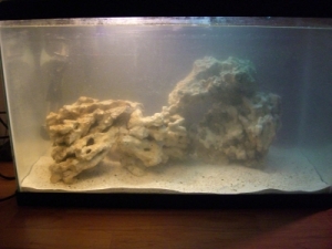1st SW tank - Front