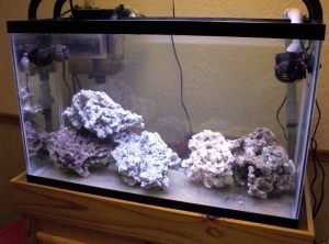 RockScape