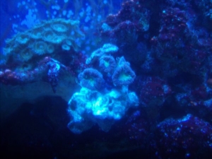 GEDC0716-2