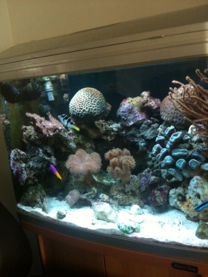photo6