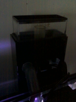 Remora Protein skimmer
