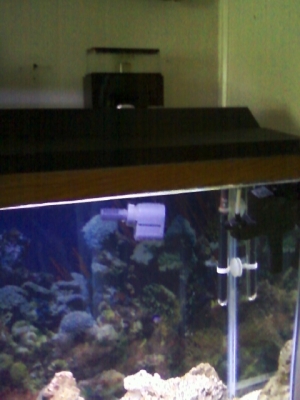 Remora Protein skimmer