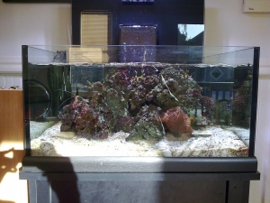 Front view of my Neo Nano