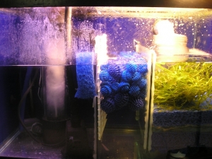 my custom sump