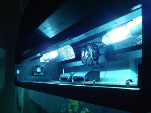 LEDbuild_5_