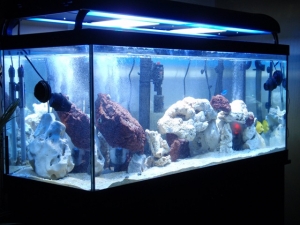 90 gal.