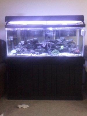 fts4