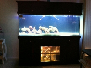 1st Tank
