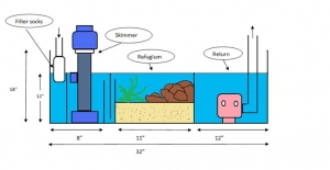 My Sump Design