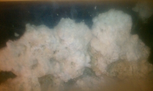 IMAG0341