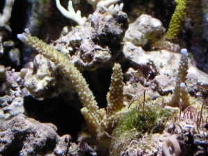 SANY0049
