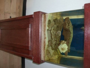 my reef