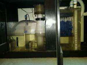 IMG00010-20110205-1433