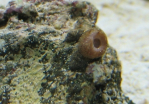 What is this?