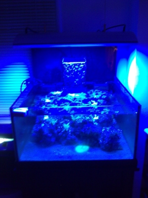 New Aqua Medic Ocean light