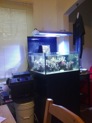Full tank shot with getto shade