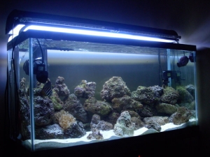 TANK212