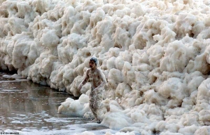 World's Largest Protein Skimmer
