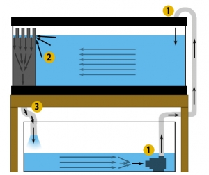 Basic Diagram of a Sump