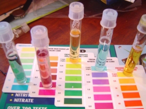 Test Kit