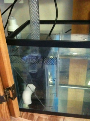 photo_2