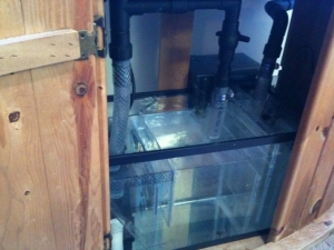 photo_3