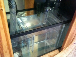 photo_4