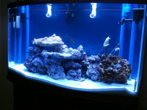 photo8