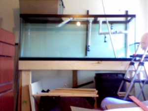 This is my "In Progress" U.N.S._PACIFIC OCEAN - REEF  ( 150 GALLO