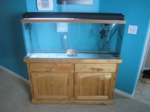 New Reef Tank
