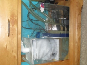 New Reef Tank