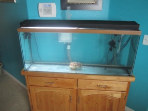 New Reef Tank