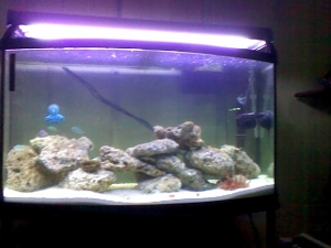 my tank