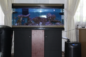 Set-up