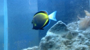 my new aquarium stuff