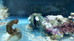 my new aquarium stuff