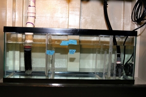DIY Sump Being Tested