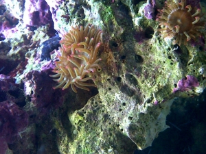 Not sure what this is...please help