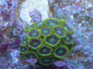 P1000193