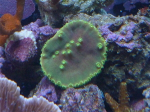 P1010213