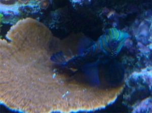P1010235