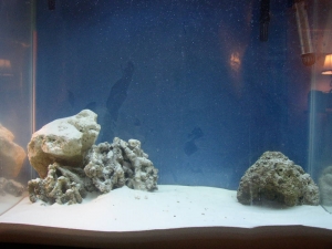 Picture_0031