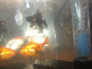 Picture_0092
