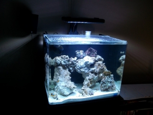 Innovative Marine nuvo 38
