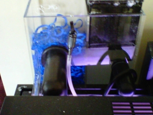 Bak-Pak Protein skimmer with Bio