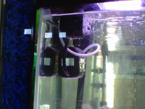 Bak-Pak Protein skimmer with Bio