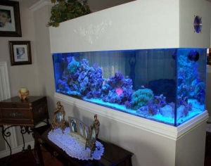 125 Gallon Tank