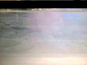 fish_tank_day_6_pic_4_