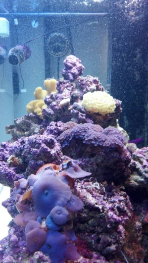 2011-12-31_17-04-34_15