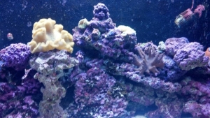 2011-12-31_17-04-55_560